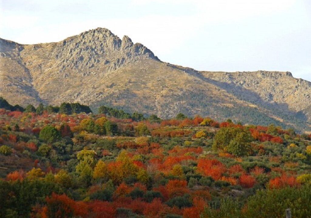 Photo of Outdoor in El Arenal