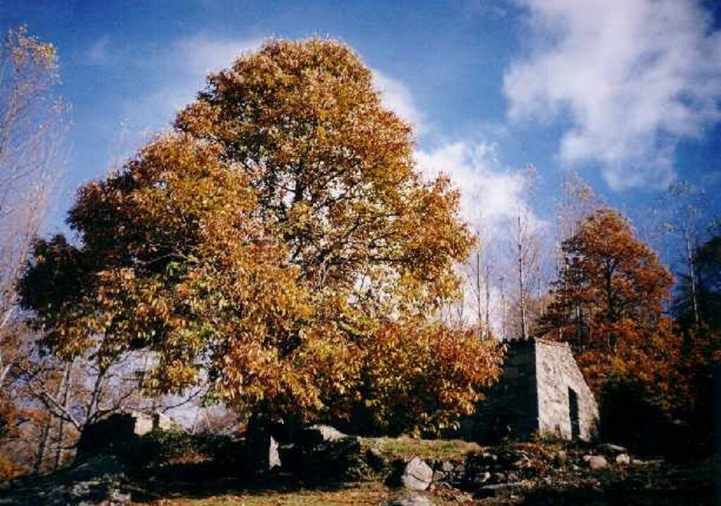 Photo of Outdoor in El Arenal