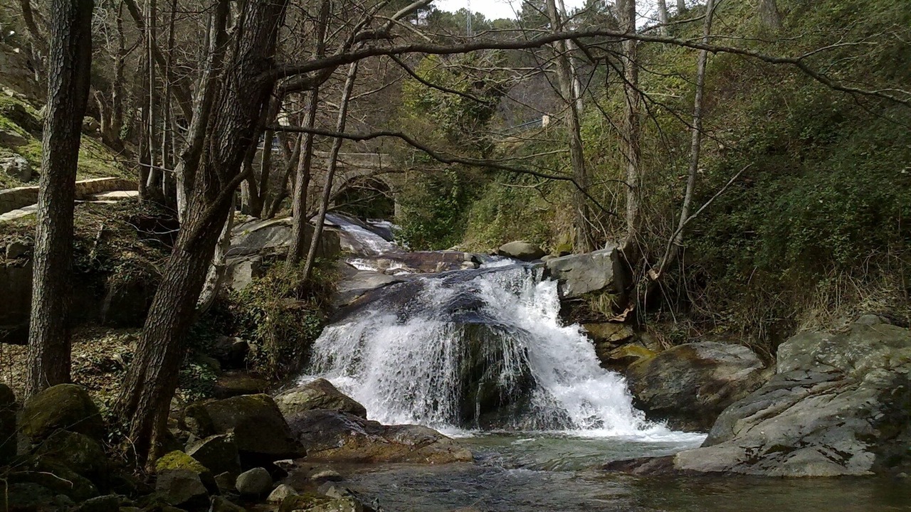 Photo of Outdoor in El Arenal