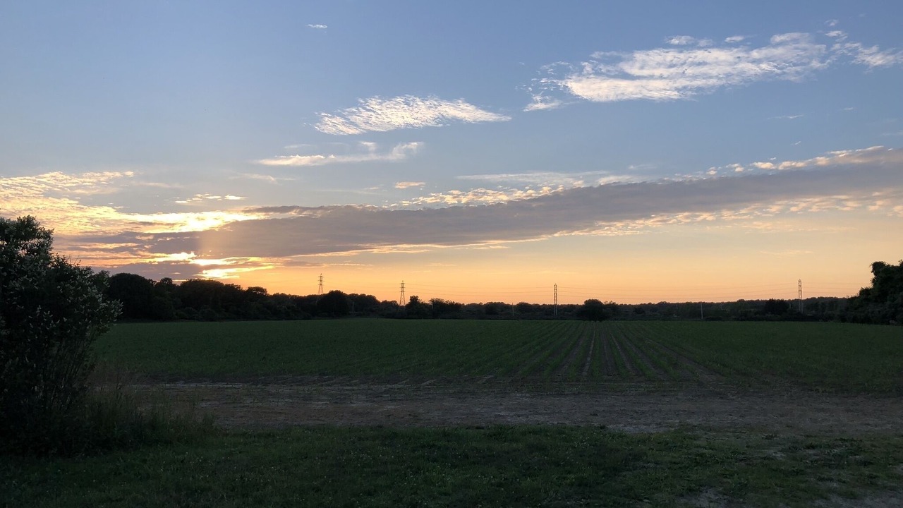 Photo of Others in Amagansett North