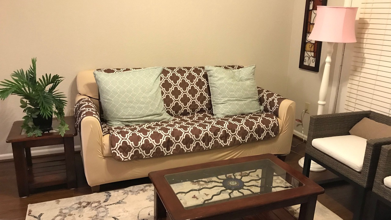 Photo of Livingroom in Texas Medical Center