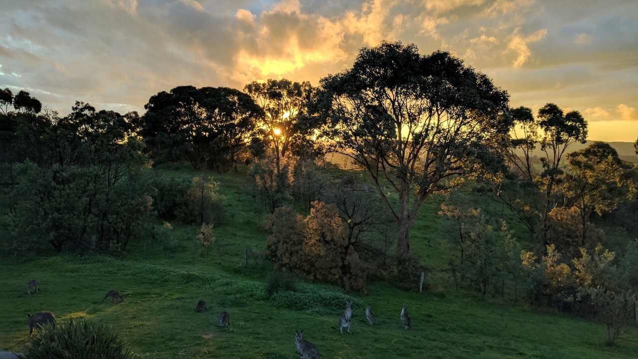 Photo of Outdoor in Elevated Plains