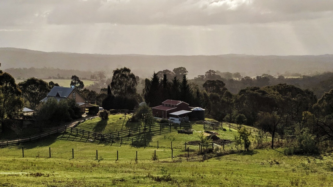 Photo of Others in Elevated Plains