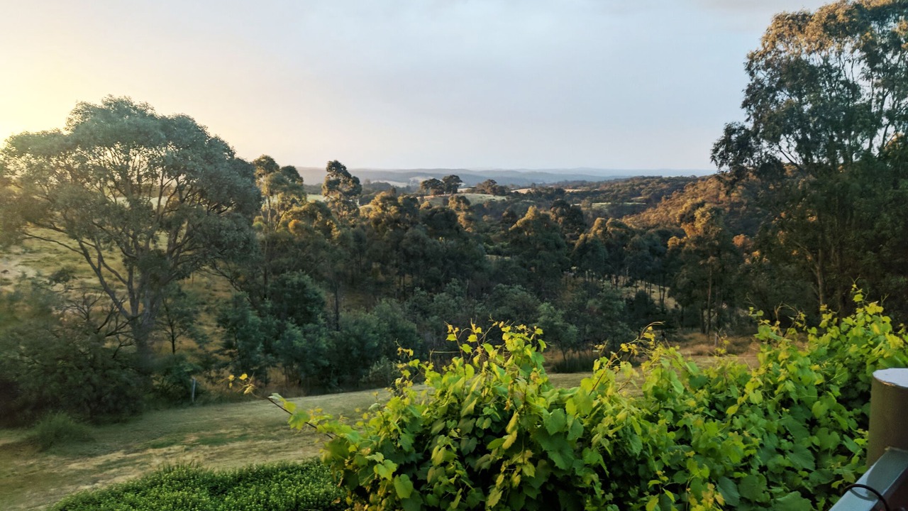 Photo of Others in Elevated Plains