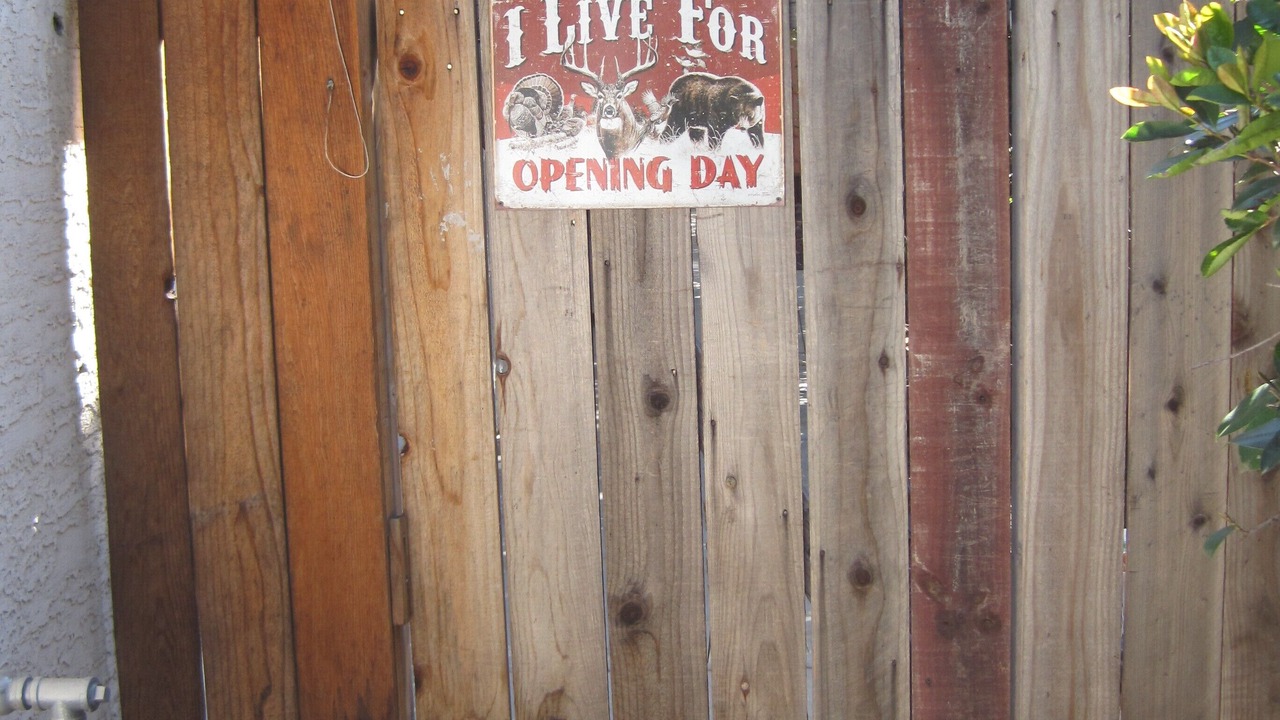 Photo of Outdoor in Citrus Heights