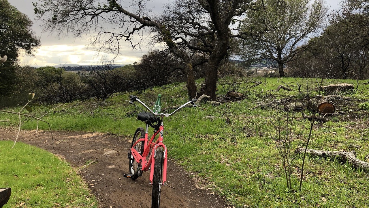 Photo of Outdoor in Napa