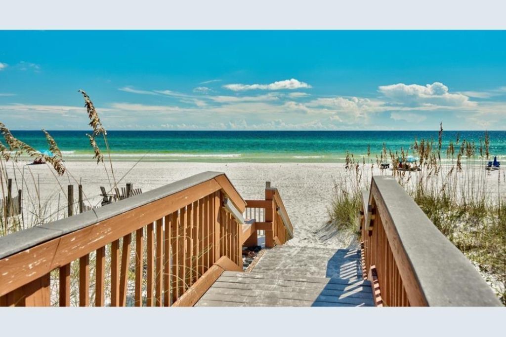 Photo of Others in Gulf Pines