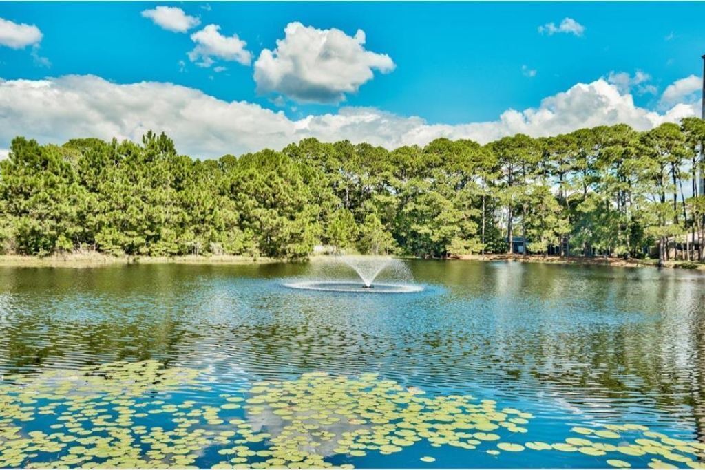 Photo of Others in Gulf Pines