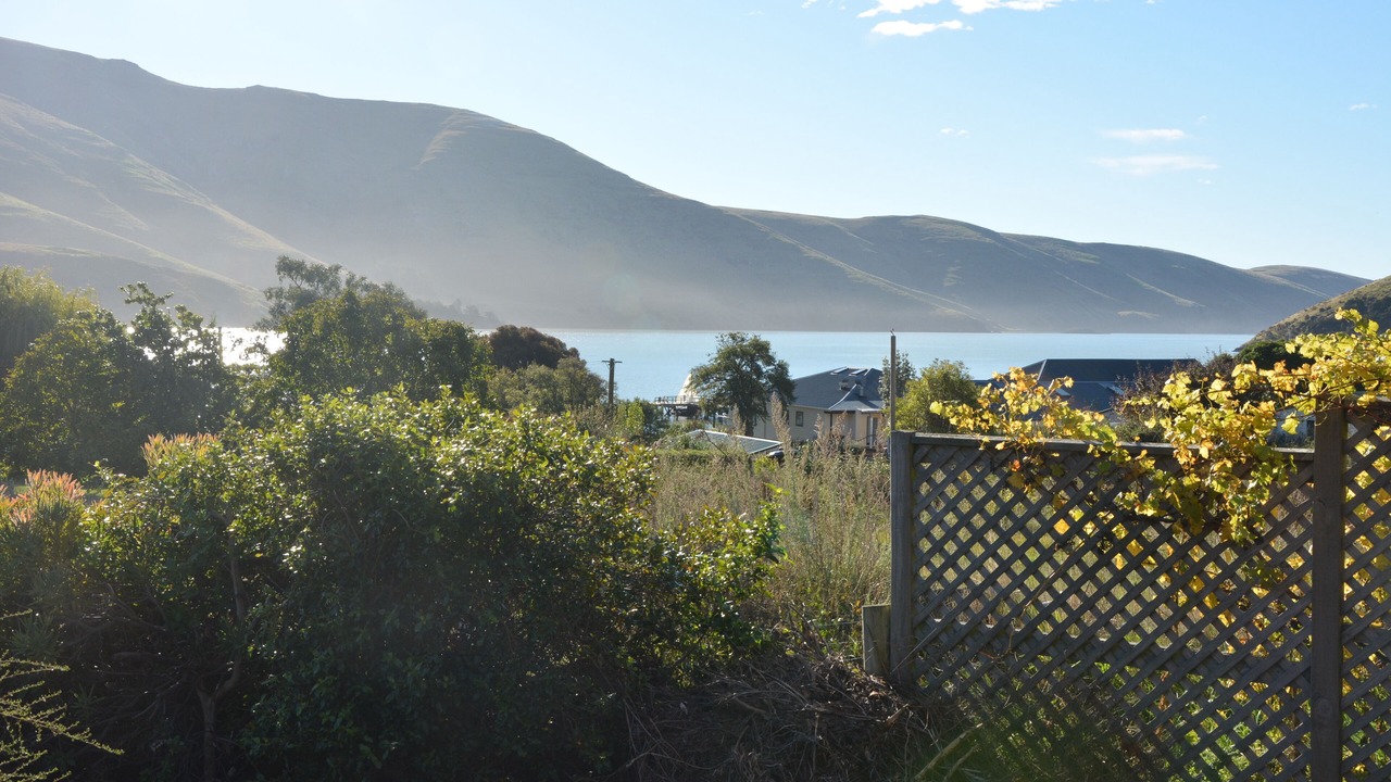 Photo of Others in Port Levy