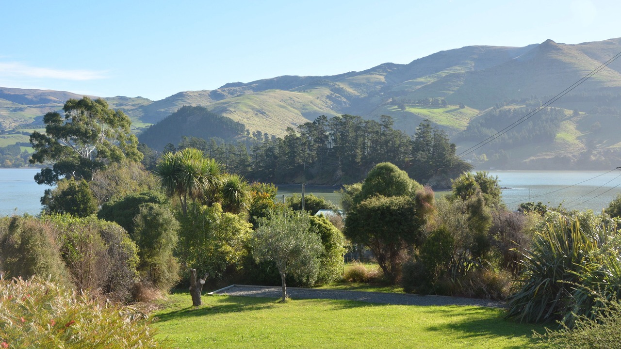 Photo of Outdoor in Port Levy