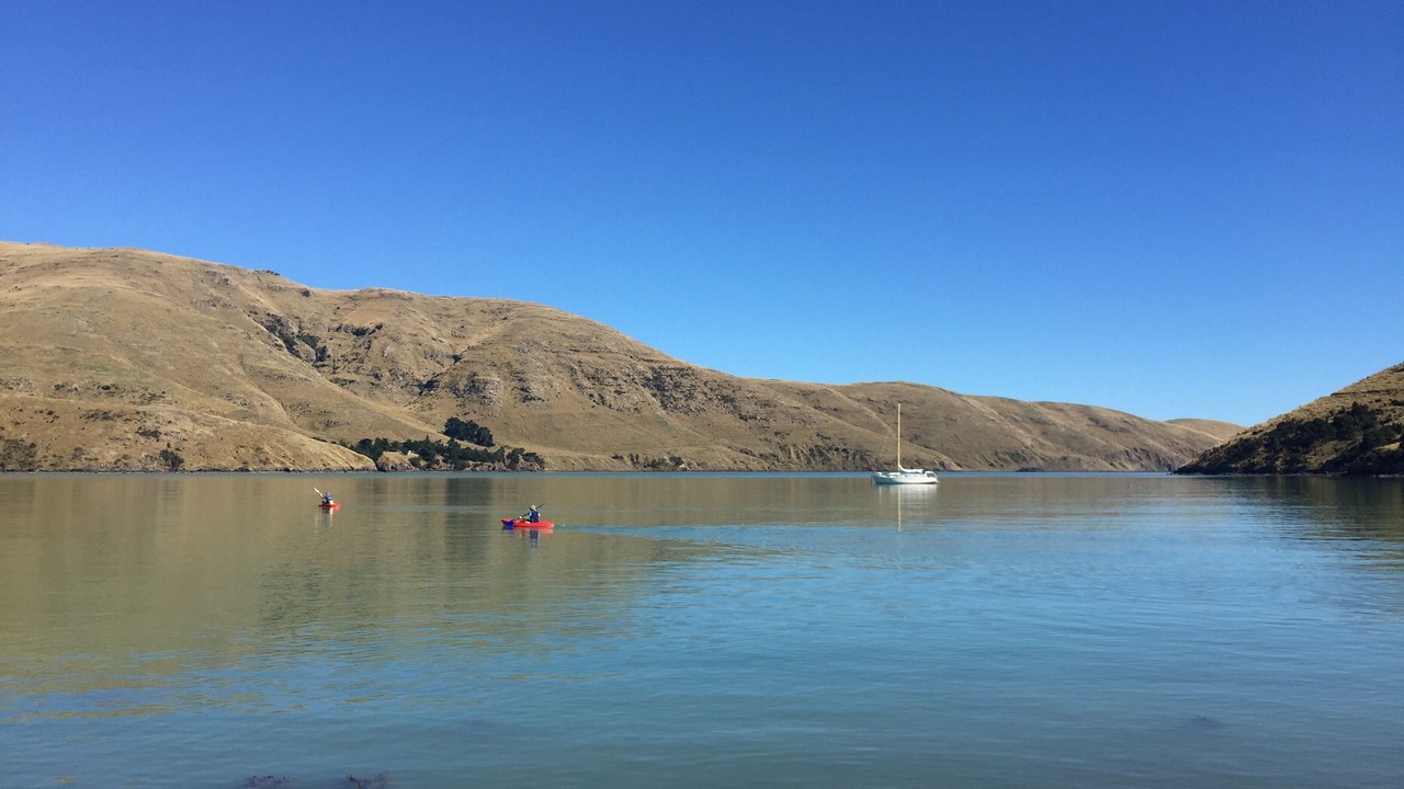 Photo of Others in Port Levy