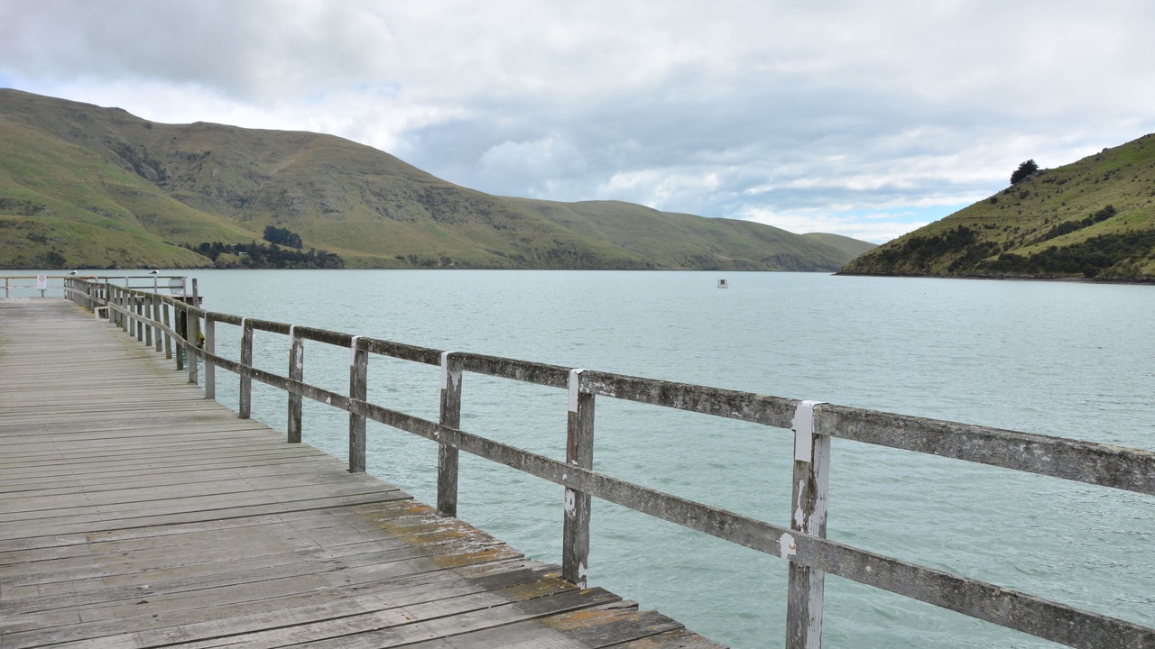 Photo of Others in Port Levy