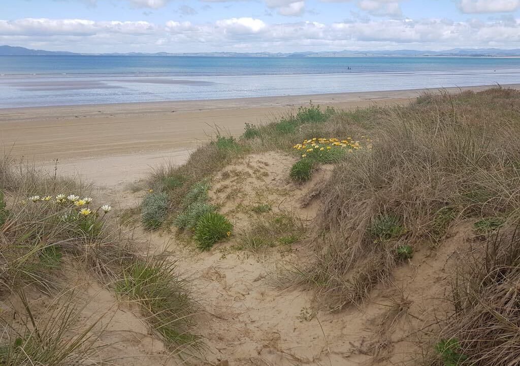 Photo of Others in Karkari Peninsula