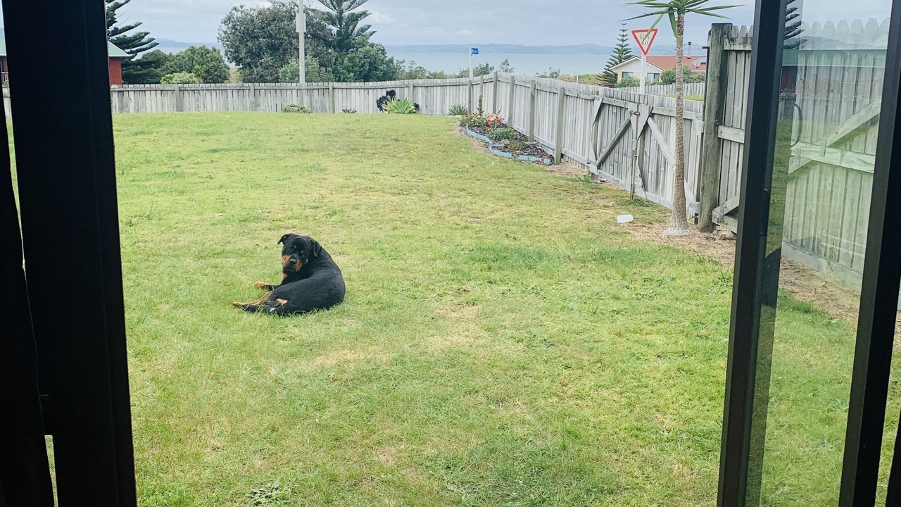 Photo of Others in Karkari Peninsula