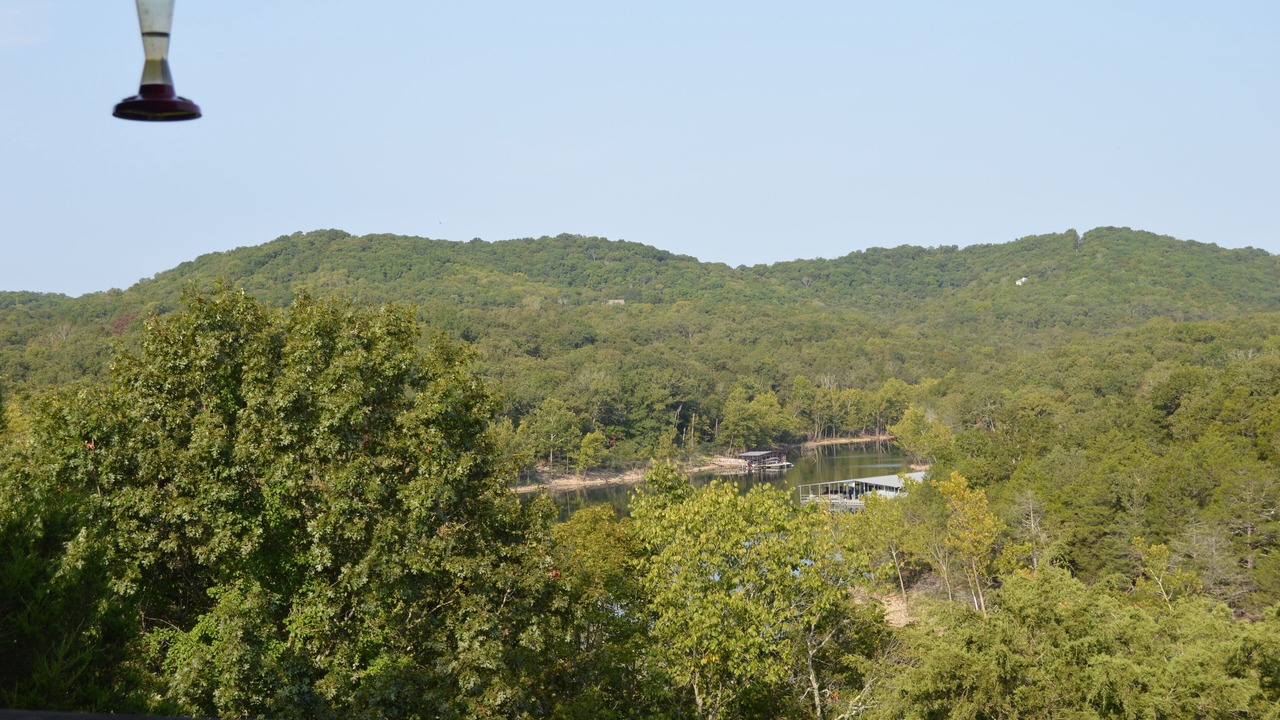Photo of Others in Indian Point