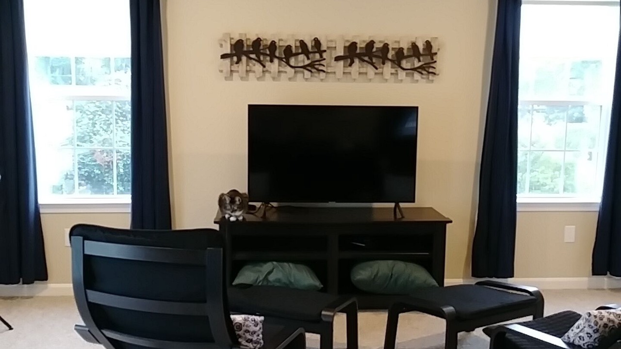 Photo of Others in Stevensville