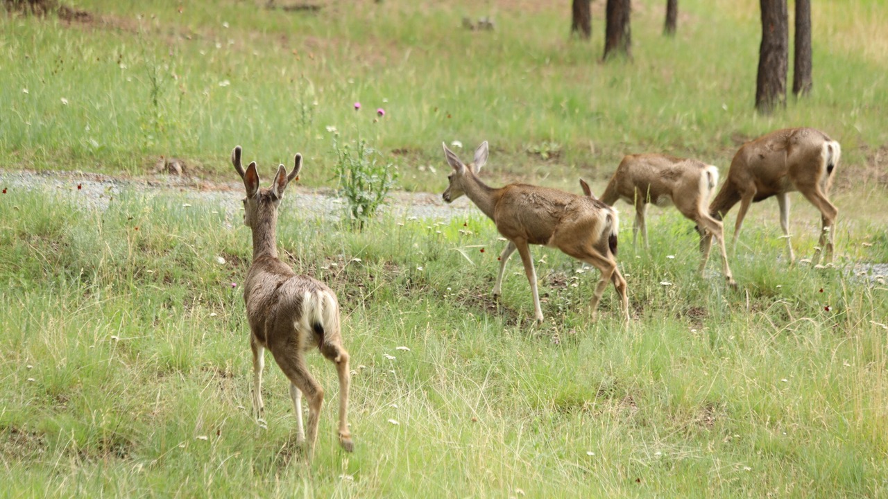 Photo of Outdoor in Alto