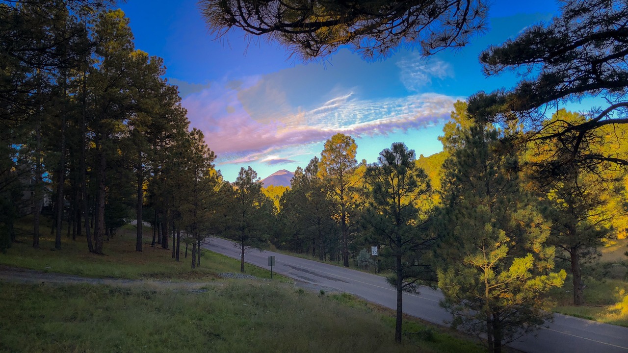 Photo of Outdoor in Alto