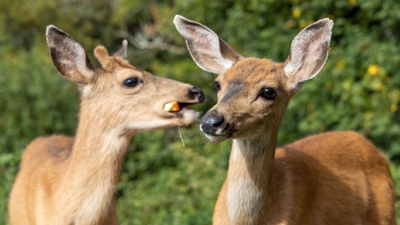 Photo of Others in Lakeside