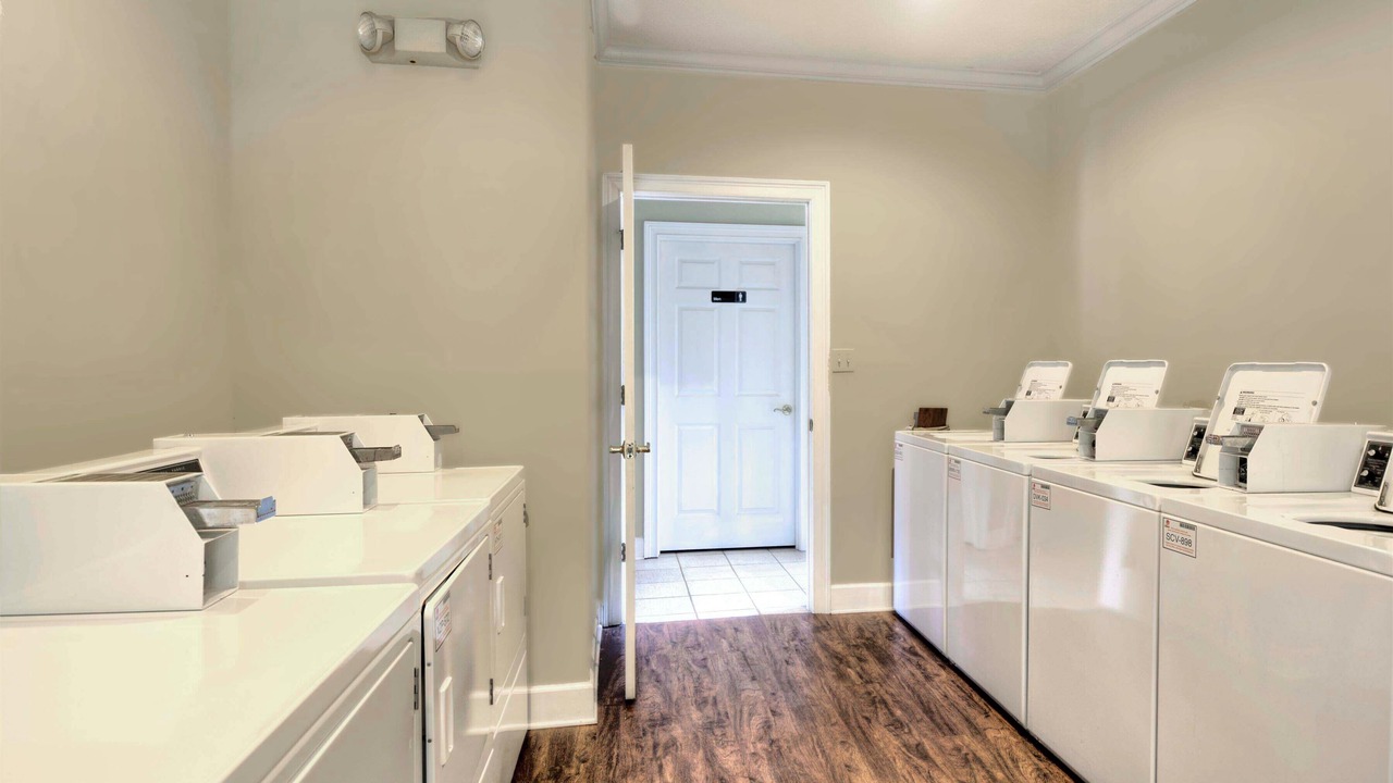 Photo of Others in Demere Park