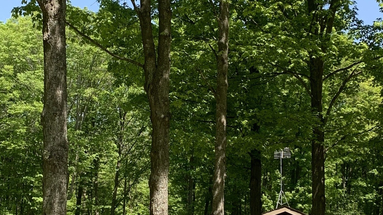 Photo of Outdoor in Grayling