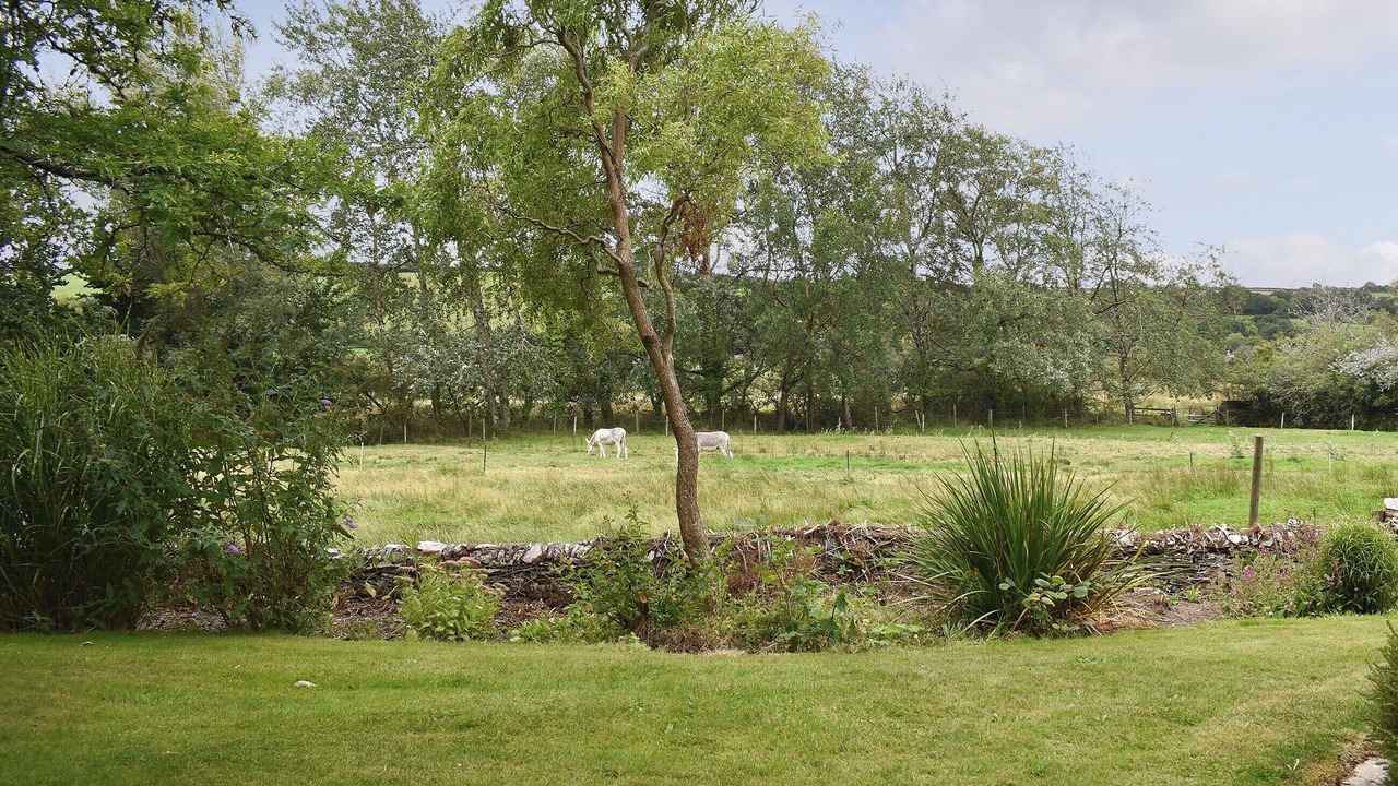 Photo of Outdoor in Aveton Gifford