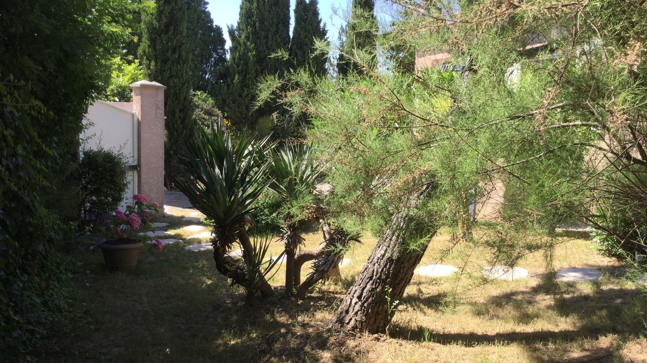 Photo of Outdoor in Carcassonne