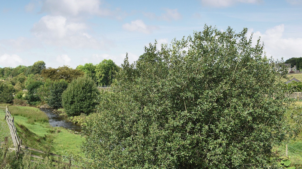 Photo of Others in Long Preston