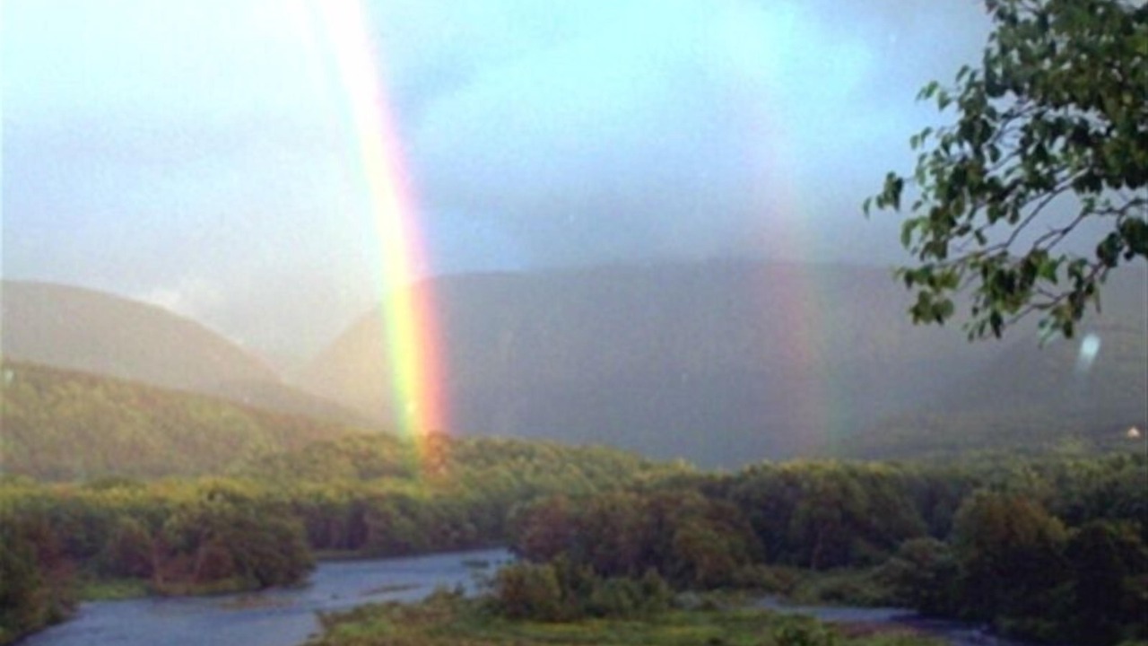 Photo of Others in Petit-Etang