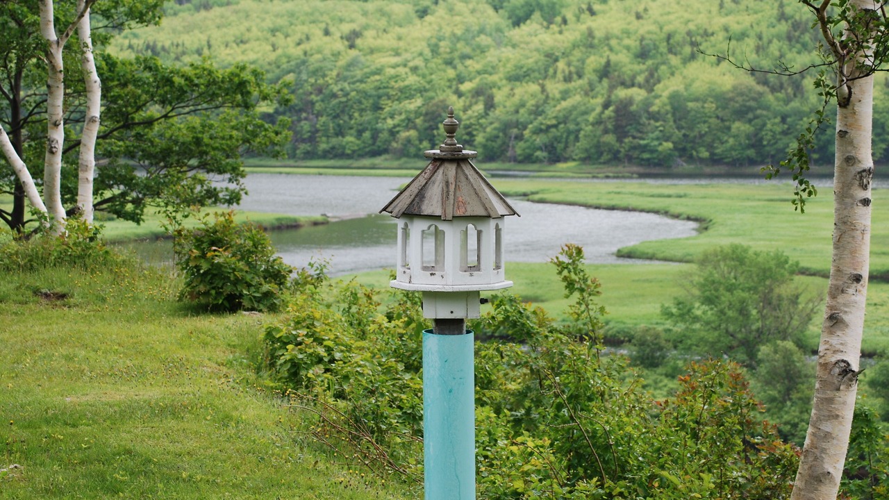 Photo of Others in Petit-Etang