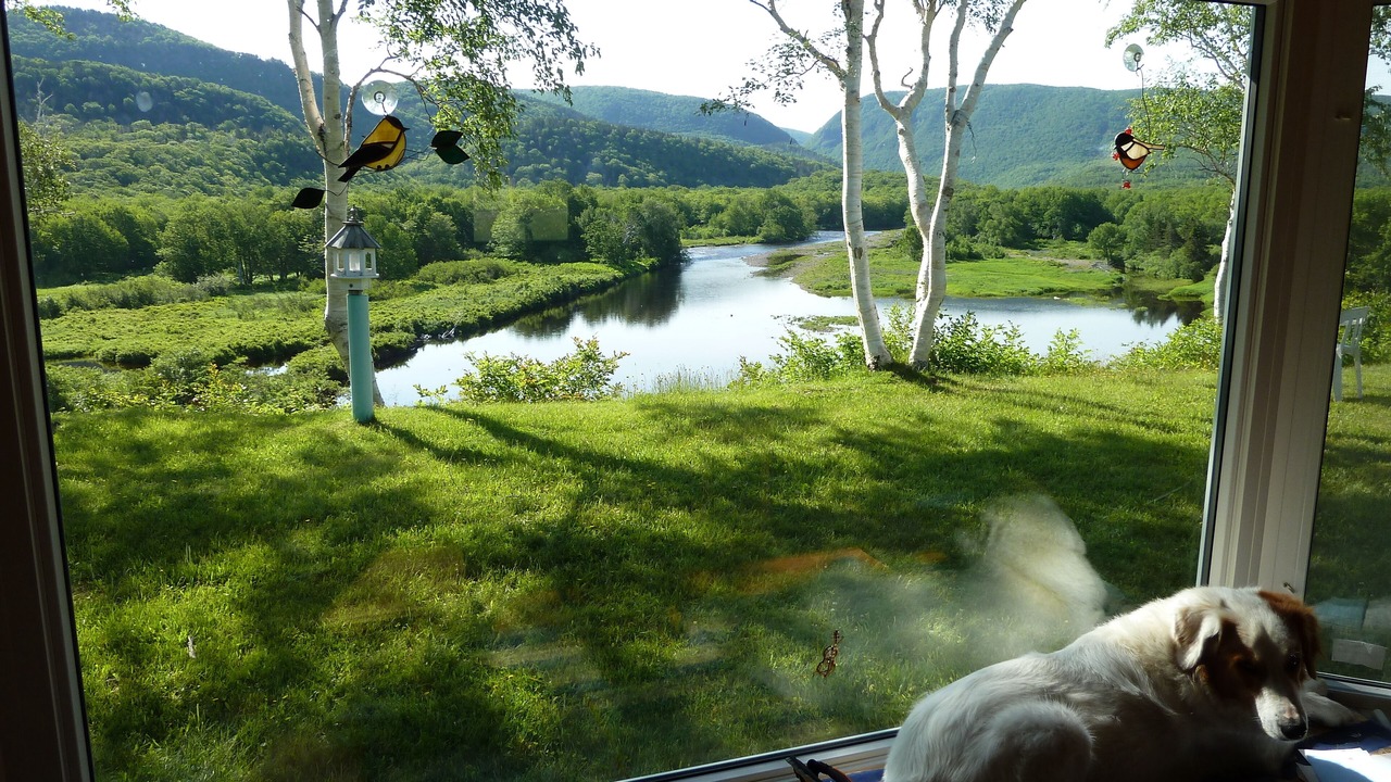 Photo of Others in Petit-Etang