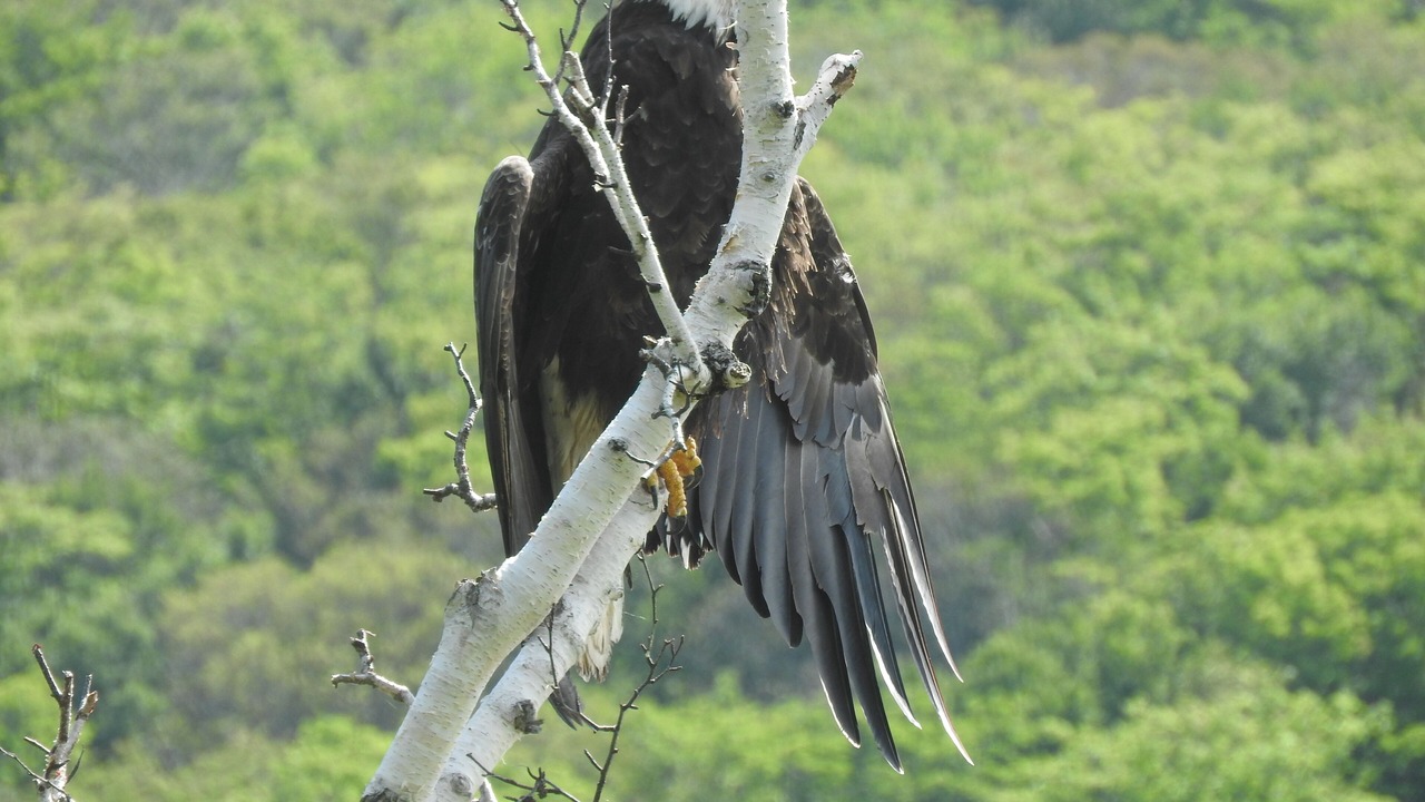 Photo of Outdoor in Petit-Etang