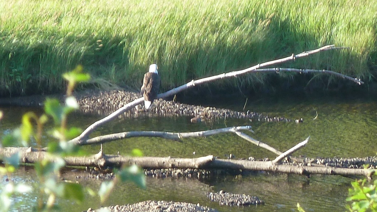 Photo of Others in Petit-Etang