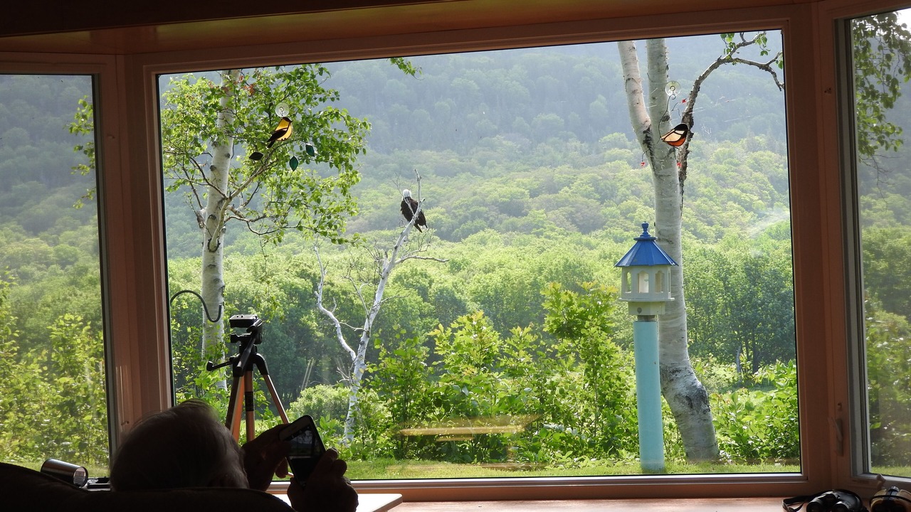 Photo of Others in Petit-Etang