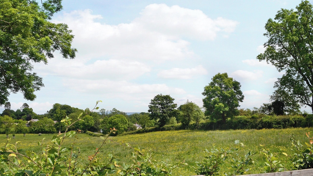 Photo of Others in Welton