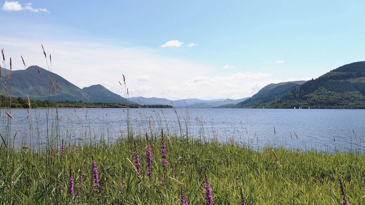 Photo of Others in Welton