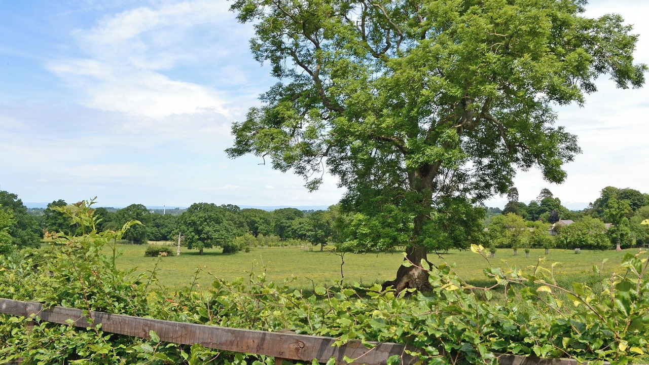 Photo of Others in Welton