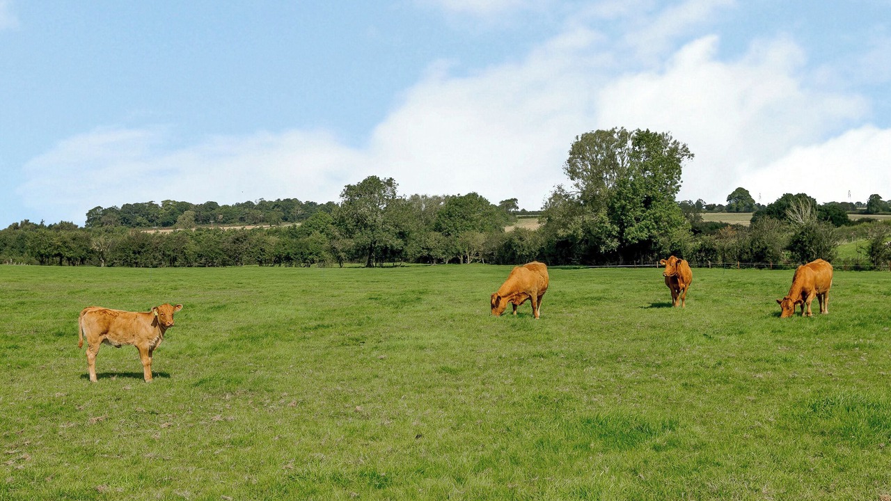 Photo of Others in Wistow