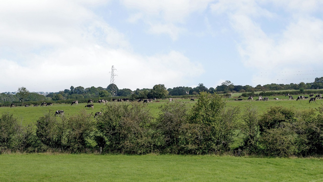 Photo of Others in Wistow