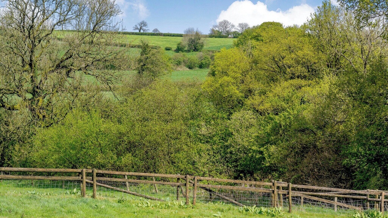 Photo of Others in East Horrington