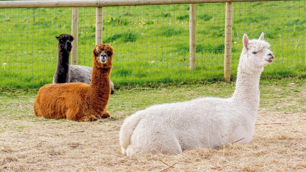 Photo of Others in East Horrington