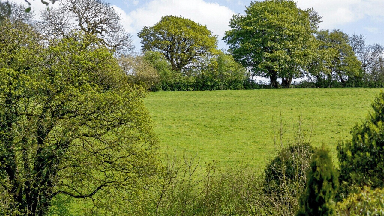 Photo of Others in East Horrington