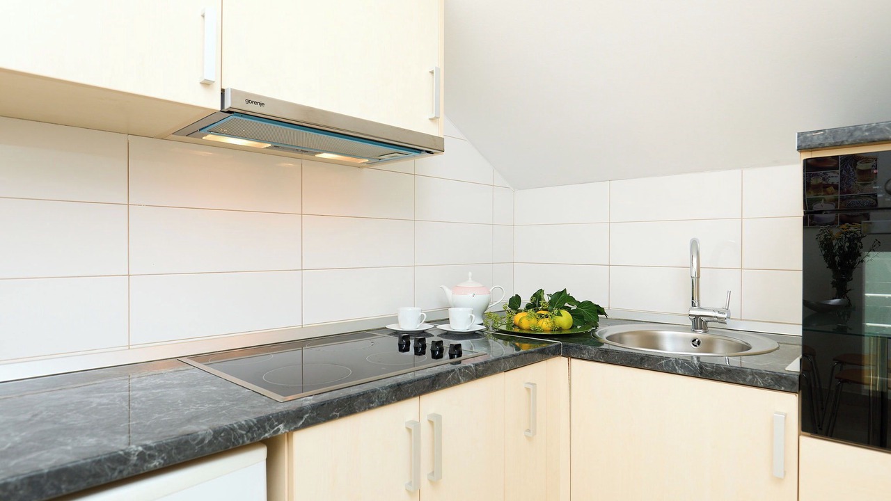 Photo of Kitchen in Lozica