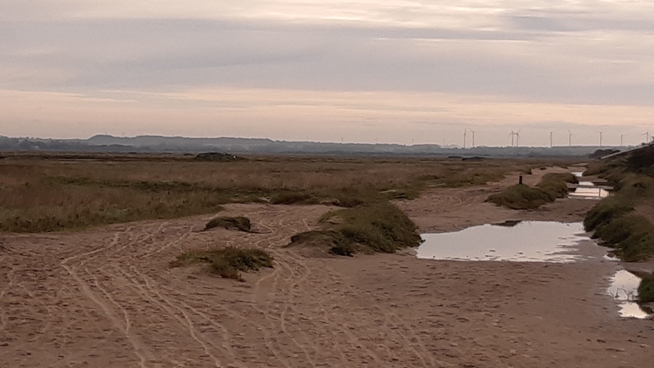 Photo of Others in Fort-Mahon-Plage