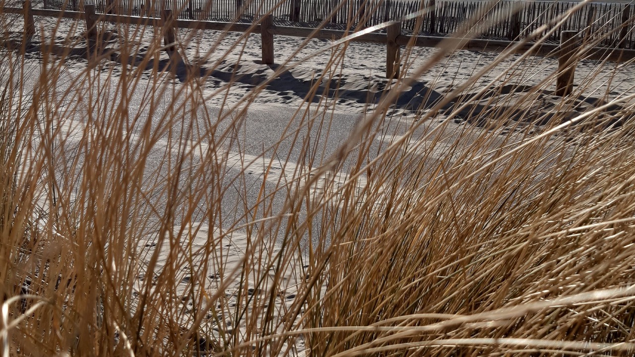 Photo of Others in Fort-Mahon-Plage