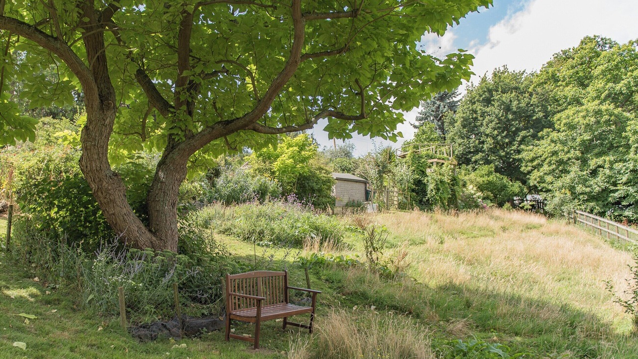 Photo of Others in Hernhill