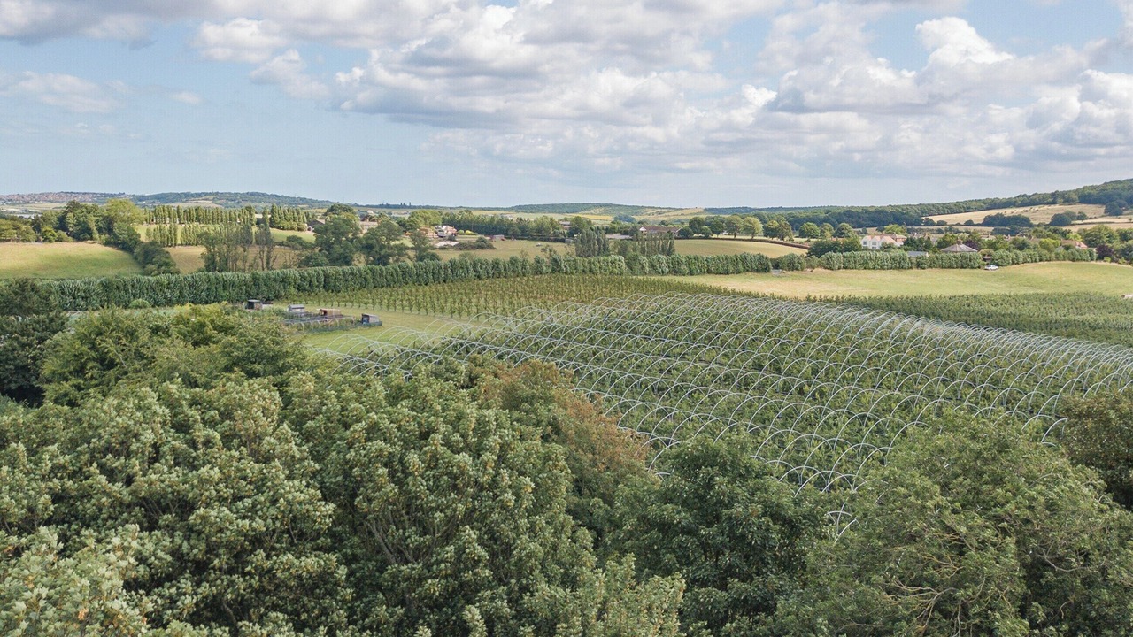 Photo of Others in Hernhill