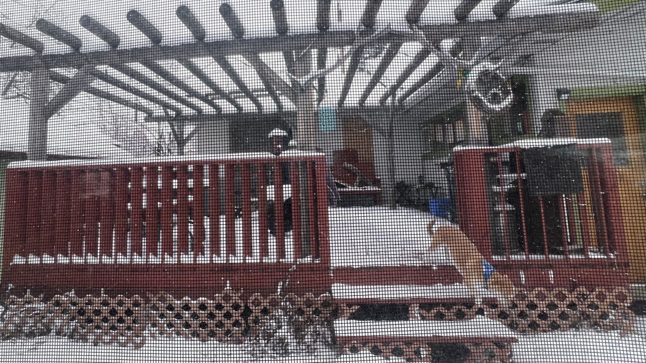 Photo of Others in St. Ignatius