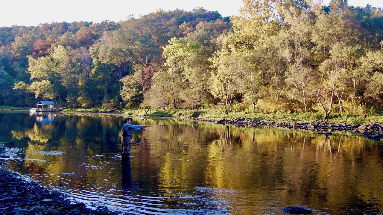 Photo of Outdoor in Wilburn