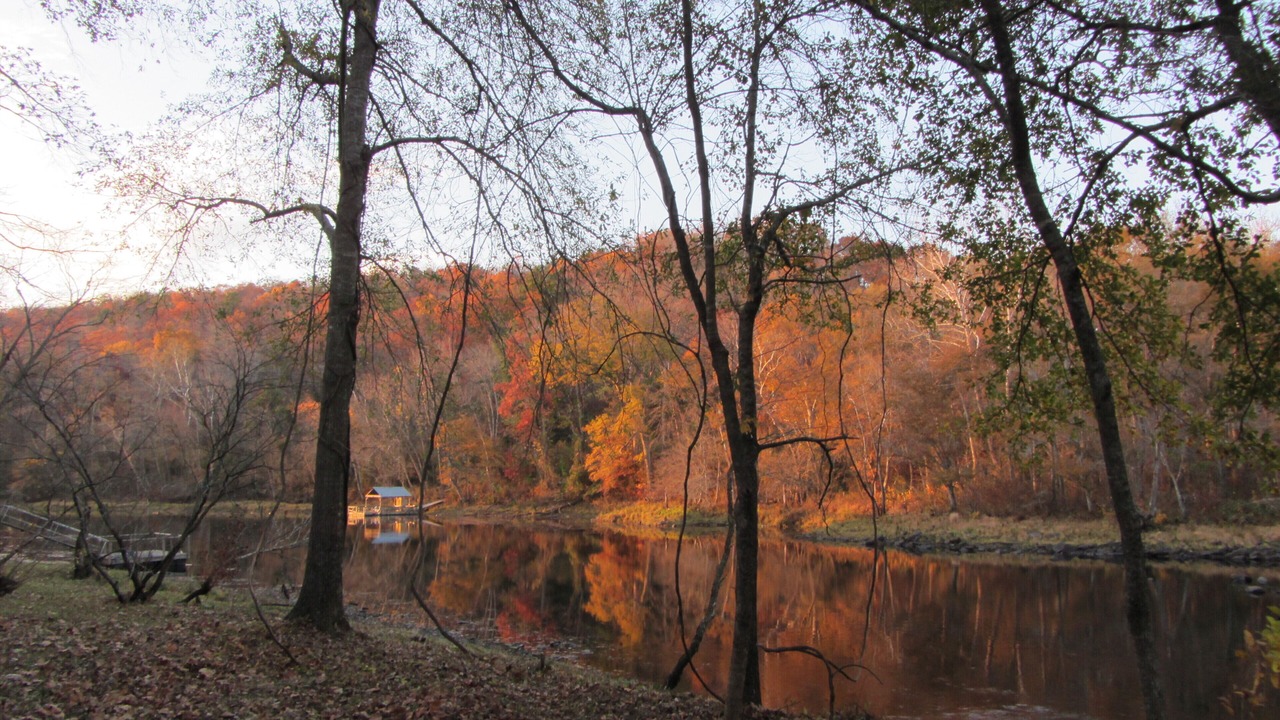Photo of Outdoor in Wilburn